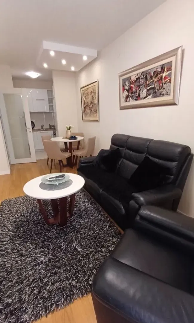 Izdavanje, jednosoban stan, 45m², Central Point, Podgorica