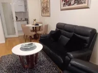 Izdavanje, jednosoban stan, 45m², Central Point, Podgorica - image 1