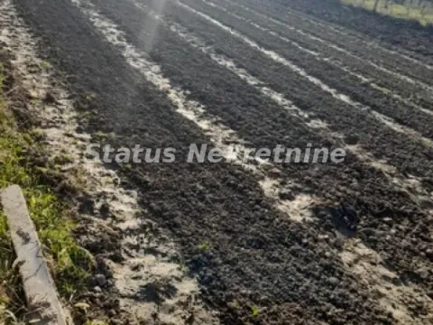 Sale, land lot, 781m², Futog, Novi Sad Sve Podlokacije - image 9