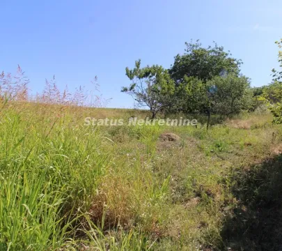 Prodaja, plac, 3276m², Petrovaradin, Novi Sad - image 13