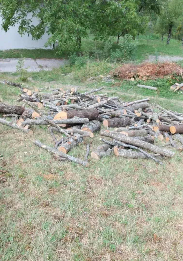 Prodaja, plac, 45233m², Kolašin, Crna Gora