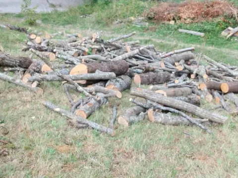 Prodaja, plac, 45233m², Kolašin, Crna Gora - image 10