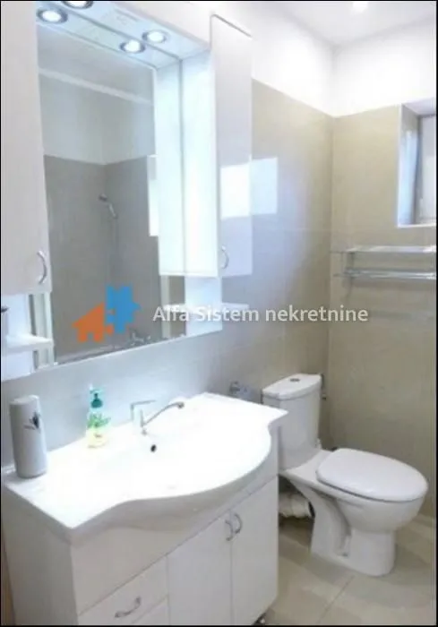 Bathroom equipped with a vanity unit, mirror, and toilet.