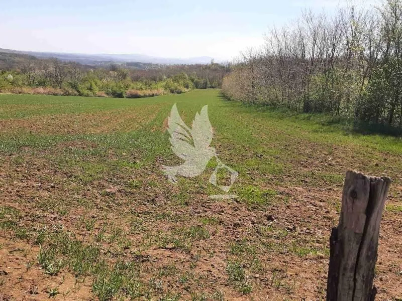 Sale, land lot, 7445m², Dučina, Sopot