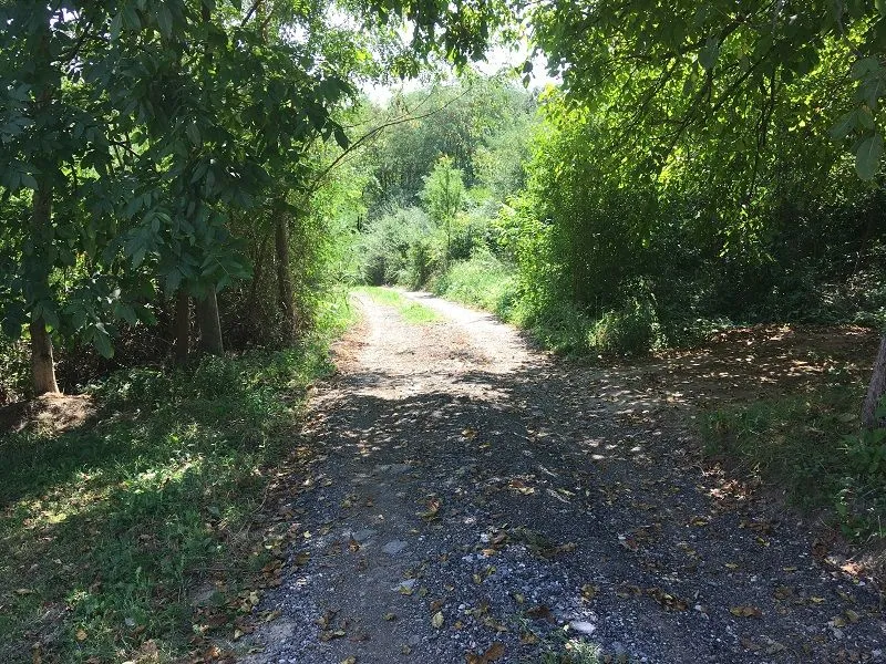Prodaja, plac, 5000m², Beograd, Srbija