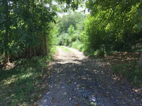 Prodaja, plac, 5000m², Beograd, Srbija - image 3