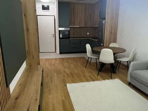 Izdavanje, jednosoban stan, 47m², Stari Aerodrom, Podgorica - image 4