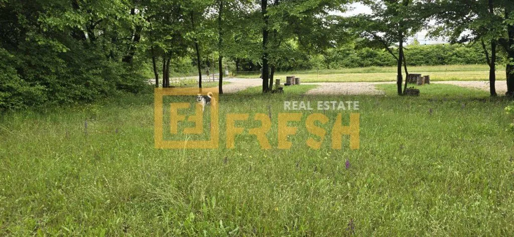 Prodaja, plac, 3500m², Danilovgrad, Crna Gora