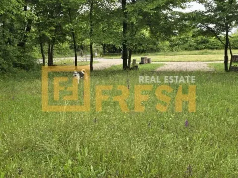 Prodaja, plac, 3500m², Danilovgrad, Crna Gora