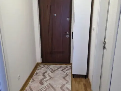 Izdavanje, jednosoban stan, 43m², Zagorič, Podgorica - image 10