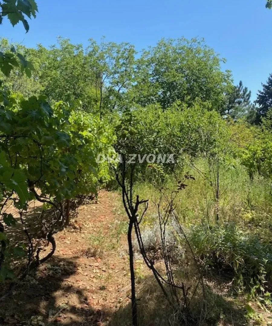 Prodaja, kuća, 62m², Čortanovci, Inđija