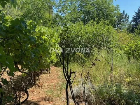 Sale, house, 62m², Čortanovci, Inđija - image 9