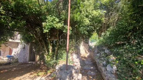 Pogled na dvorište i zelene površine oko kuće. - image 7