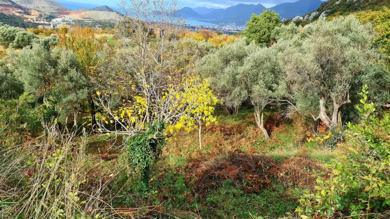 Sale, land lot, 1200m², Bar, Crna Gora