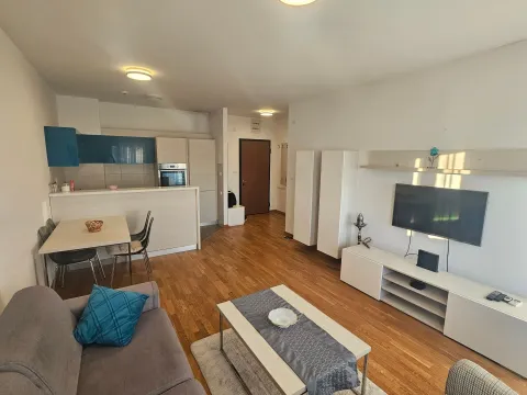Rent, one bedroom apartment, 51m², City Kvart, Podgorica - image 4