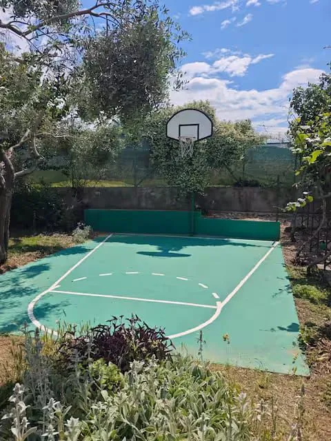 Small private basketball court in a yard surrounded by greenery.