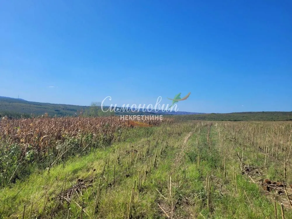 Prodaja, plac, 15000m², Ritopek, Grocka