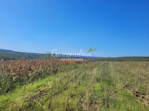 Prodaja, plac, 15000m², Ritopek, Grocka - image 8