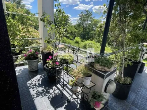 Prodaja, kuća, 520m², Savski Venac, Beograd - image 12