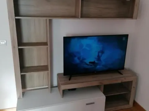 Izdavanje, dvosoban stan, 50m², Jugovićevo, Novi Sad Sve Podlokacije - image 3