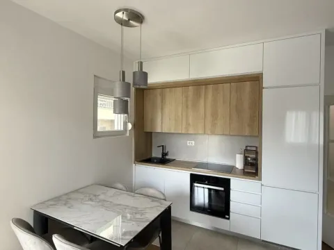 Rent, one bedroom apartment, 47m², Zagorič, Podgorica - image 2