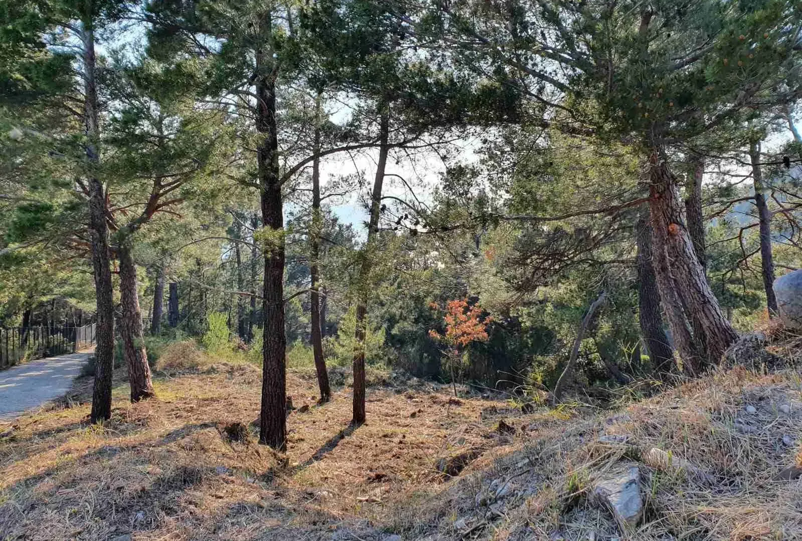 Prodaja, plac, 1028m², Bar, Crna Gora