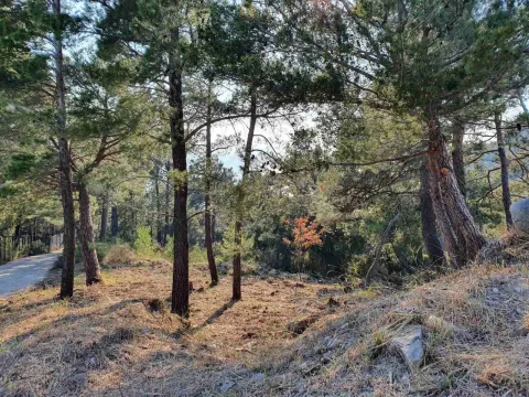 Prodaja, plac, 1028m², Bar, Crna Gora - image 3