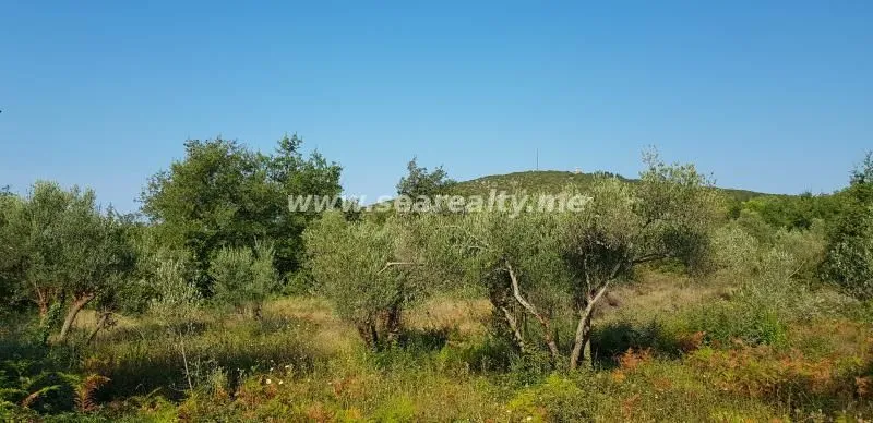 Prodaja, plac, 5600m², Krimovica, Kotor