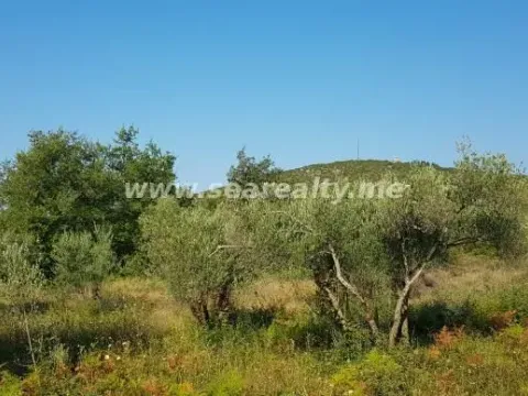 Prodaja, plac, 5600m², Krimovica, Kotor - image 3