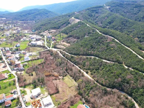 Prodaja, plac, 9526m², Radanovići, Kotor - image 3