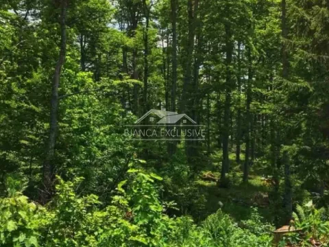 Prodaja, plac, 20000m², Mokra gora, Tara - image 3