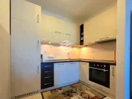 Izdavanje, jednosoban stan, 46m², Blok 6, Podgorica - image 4