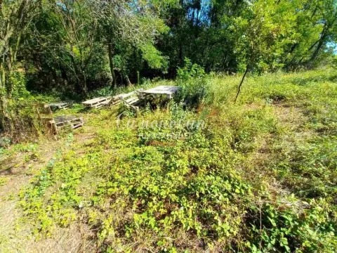 Sale, land lot, 1900m², Arnajevo, Barajevo - image 5