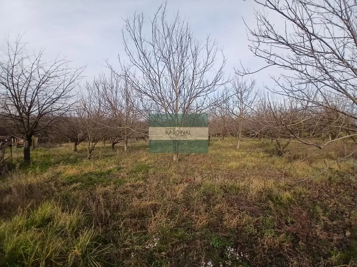 Sale, office space, 723m², Veliki Popović, Despotovac