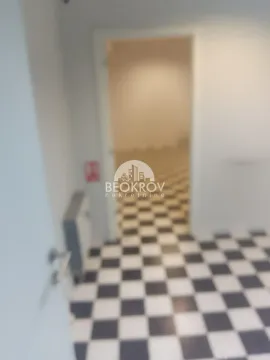 Izdavanje, poslovni prostor, 377m², Lipov Lad, Zvezdara Sve Podlokacije - image 15