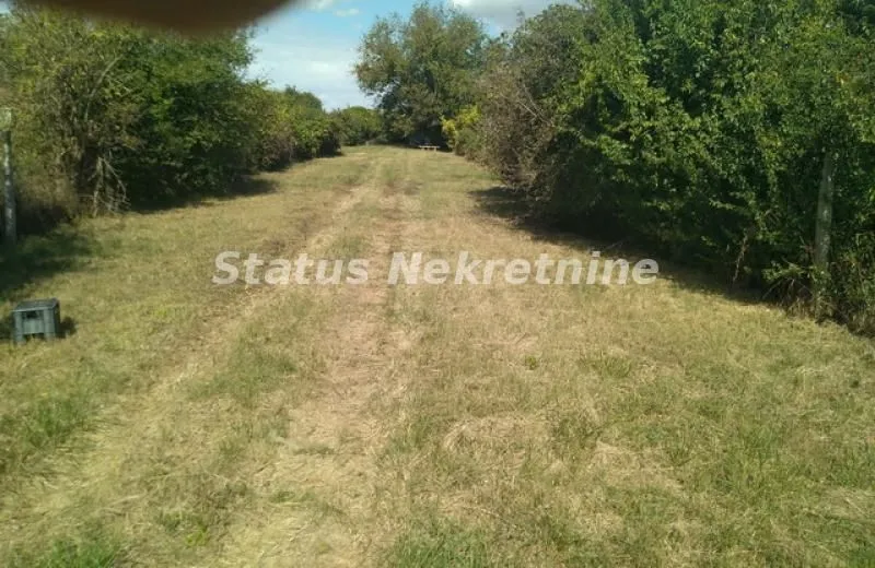 Pogled na zemljište sa zelenilom i drvećem.