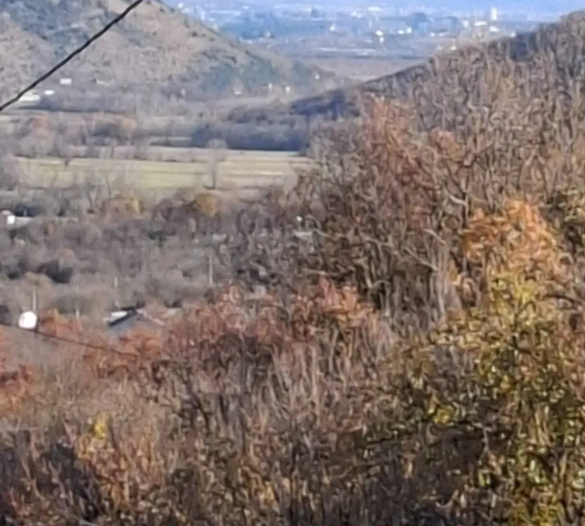 Prodaja, plac, 5000m², Bandići, Danilovgrad