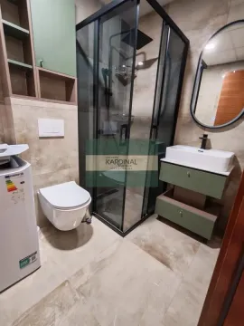 Modern bathroom with a walk-in shower, washbasin, and built-in sanitaryware. - image 7