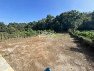 Sale, land lot, Centar, Smederevo - image 1