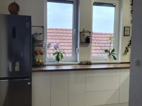 Sale, apartment, 119m², Veternik, Novi Sad Sve Podlokacije - image 11