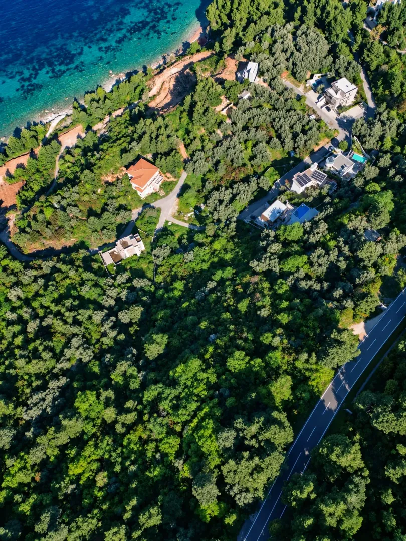 Pogled iz vazduha na priobalno naselje sa šumom i putem.