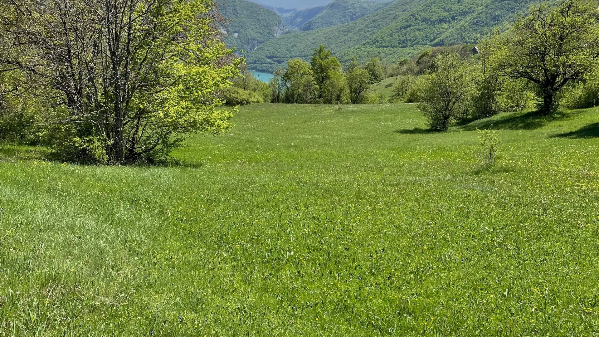 Prodaja, plac, 15000m², Donja Brezna, Plužine