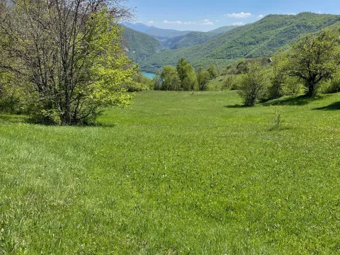 Prodaja, plac, 15000m², Donja Brezna, Plužine - image 3