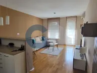 Izdavanje, jednosoban stan, 35m², Novi Beograd Sve Podlokacije, Beograd - image 3