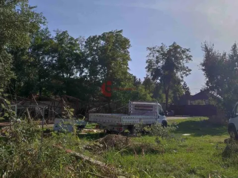 Izdavanje, poslovni prostor, 542m², Kelebija, Subotica - image 8