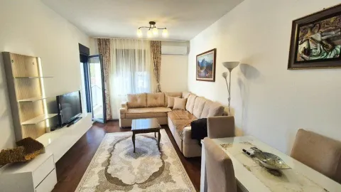 Izdavanje, jednosoban stan, 48m², Podgorica, Crna Gora - image 4