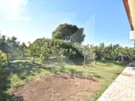 Prodaja, kuća, 68m², Zeta, Podgorica - image 16