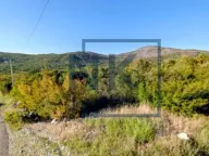 Sale, land lot, 30414m², Lješanska Nahija, Podgorica - image 1