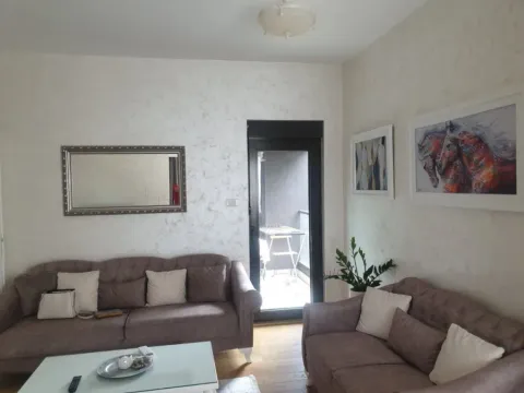 Izdavanje, jednosoban stan, 49m², Vezirov Most, Podgorica - image 4