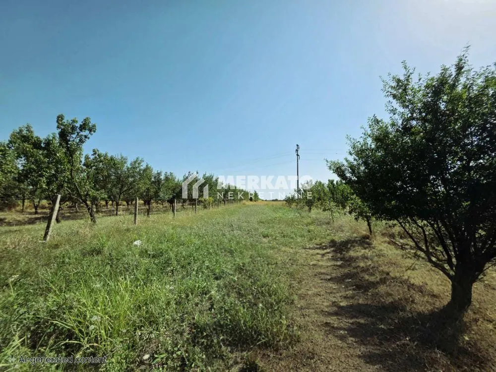 Prodaja, plac, 3100m², Bagljaš, Zrenjanin